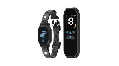 megwr|10 Best Shock Collar For Dogs: Top 5 Picks In 2023 .